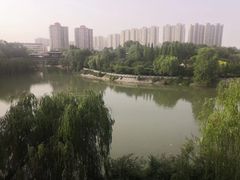 -洛阳市牡丹公园