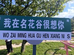 -名花谷生态庄园