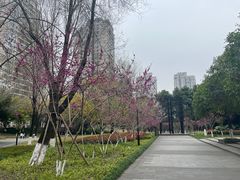 -沐仙湖湿地公园