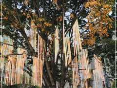 -山城巷传统风貌区