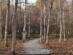 -长春市南湖公园