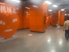 -嘉禾望岗(地铁站)