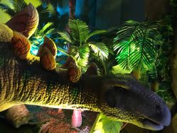 -恐龙探索乐园(磁器口店)