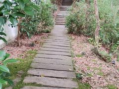 -杭州黄龙洞