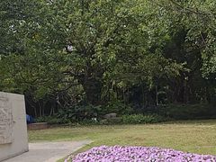 -南宁南湖公园