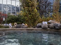 -中家鑫园温泉酒店鑫悦汤泉