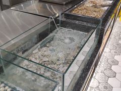 -福成自助烤肉(长阳店)
