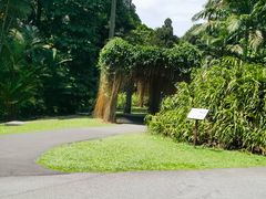 -植物园哈利亚餐厅