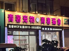 -青奢宠物·青奢猫舍