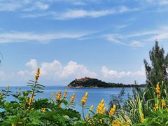 -杨梅坑