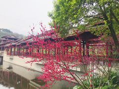 -重庆彩云湖湿地公园
