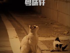 -粤味轩快餐店(天下第一泉店)