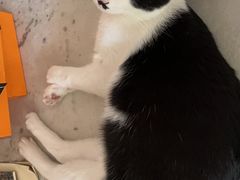 -美联众合24小时·皮肤科·外科·全科诊疗中心(华苑分院)