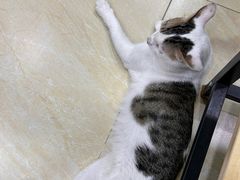 -玉椰林甜品店(创始店)