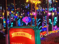 -武汉园博园(武汉自然博物馆)