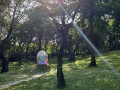 -云溪植物园