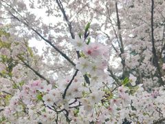 -杭州少年儿童公园