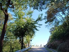 -风云岭森林公园