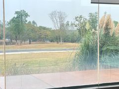 -盘龙城国家考古遗址公园