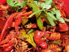 -红辣椒·川菜·火锅(张杨路店)