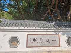 -飞来湖湿地公园