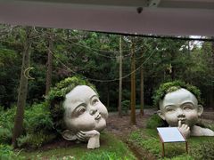 -东平国家森林公园