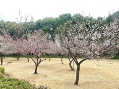 -上海大学(宝山校区)