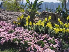 -板樟山森林公园