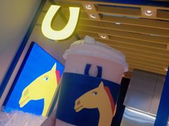 -春丽小马(济南恒隆广场店)