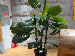 -鑫涛温泉汗蒸时代