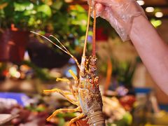 -亚马逊蒸汽活海鲜自助(LCM置汇旭辉广场店)