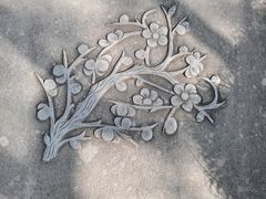 -杭州植物园