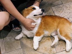 -Line 咖啡(石厦花园店)