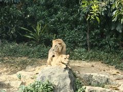 -广州长隆野生动物世界