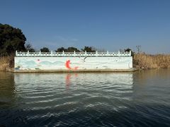 -长兴太湖图影湿地文化园