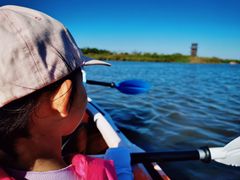 -春花秋色城市公园