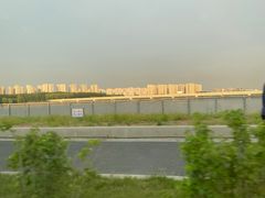 -丁香湖公园