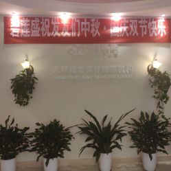 -碧莲盛·不剃发植发