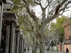 -上海兴国宾馆香樟园西餐厅