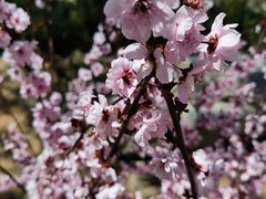 -鹫峰国家森林公园