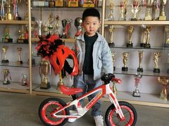 -长春乐奇平衡车儿童体能运动中心