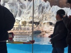 -帝企鹅自助餐厅•儿童岛•真企鹅(长隆企鹅酒店)