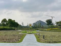 -春花秋色城市公园