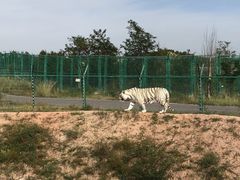 -鄂尔多斯野生动物园