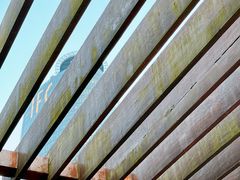 -广州柏悦酒店·悦吧·顶楼露天酒吧