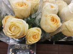 -优衣库(深圳万象天地旗舰店)