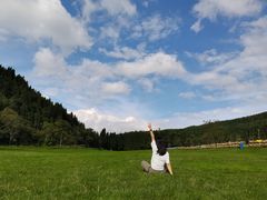 -武陵山森林公园
