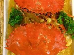 -茉莉.Red Crab
