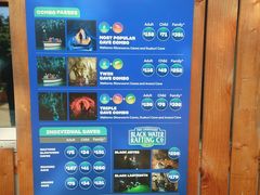 -怀托摩萤火虫洞