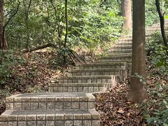 -广州雕塑公园